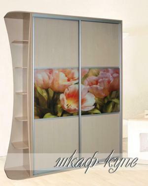 Шкаф-купе производства «Дім меблів» из качественного дсп